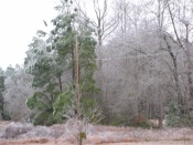 IMG_2515
