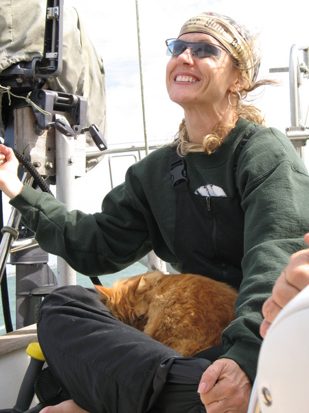 Sailor the Cat in Miriams lap
