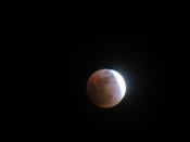 IMG_2761.JPG