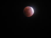 IMG_2768.JPG