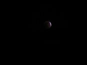 IMG_2773.JPG