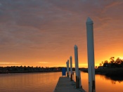 IMG_7826.JPG