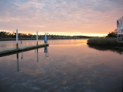 IMG_7812.JPG