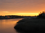 IMG_7820.JPG
