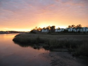 IMG_7821.JPG