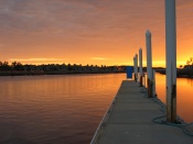 IMG_7825.JPG