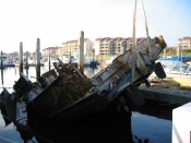 IMG_7954.JPG