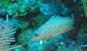 IMG_5900_edited
