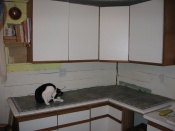 kitchen counter