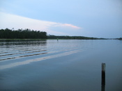 IMG_0164.JPG