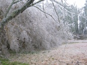 Ice Storm of 2004