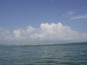 Pictures miriam took