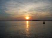 2005 november 8 on sea puppy