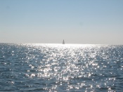 picturs scott took of pirate girl