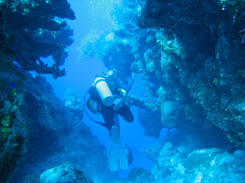 turks_caicos_day_two_diving_024
