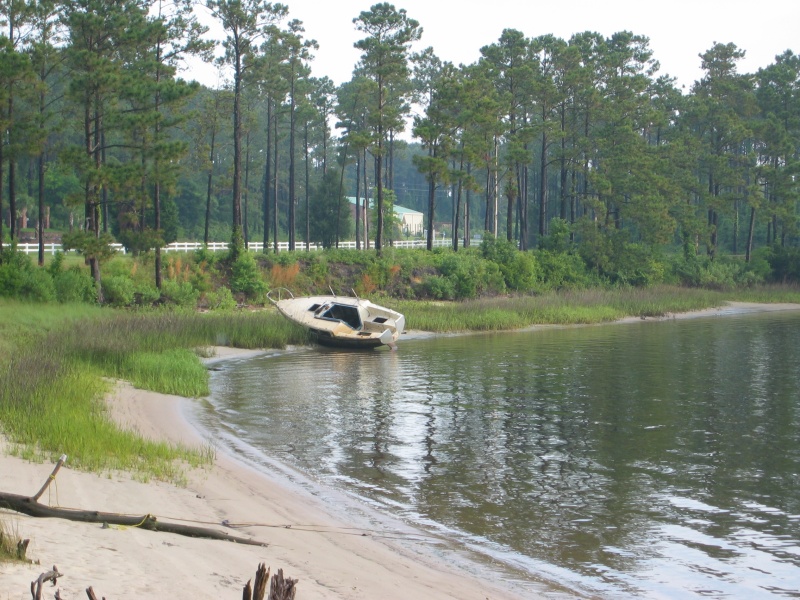 leukemia cup 2006 023.jpg