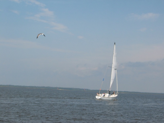leukemia cup 2006 054.jpg