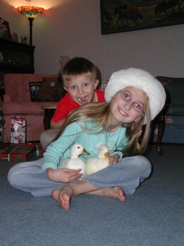 Ducky Xmas.JPG