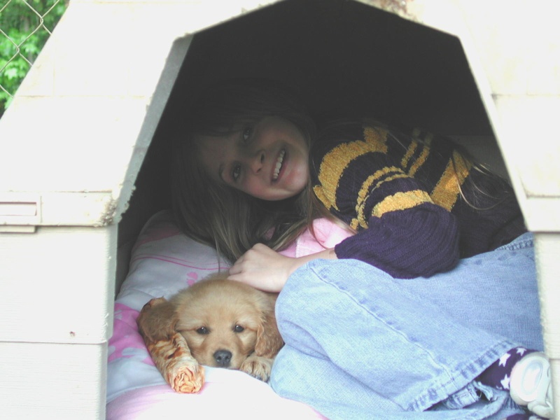 In the Dog House.jpg